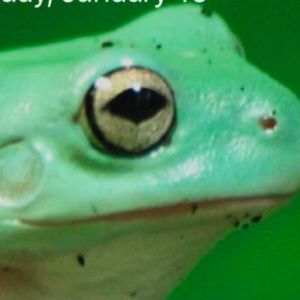 Meet your Posher, Avery